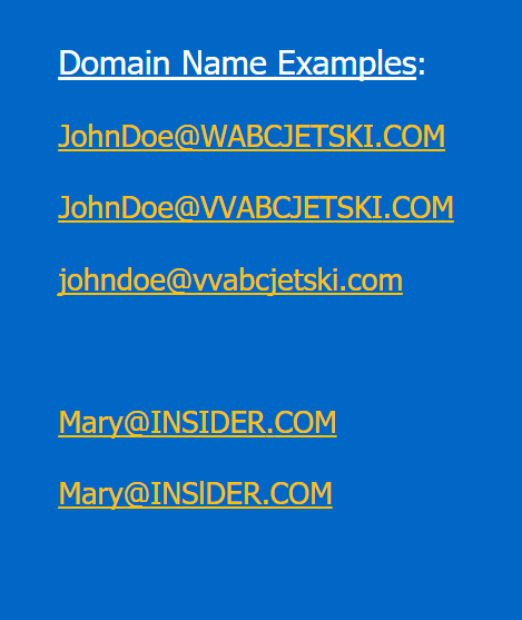 Examples of look-alike domains